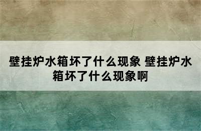 壁挂炉水箱坏了什么现象 壁挂炉水箱坏了什么现象啊